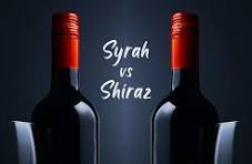 Syrah / Shiraz