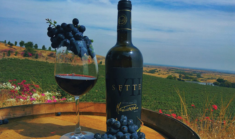 Fratelli Sette Reserve Red Wine