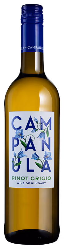 Campanula Pinot Grigio 2024